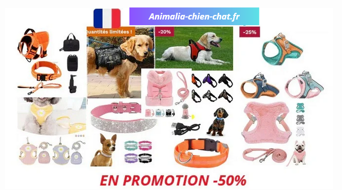 Colliers,Harnais,Laisses pour chien et chiot