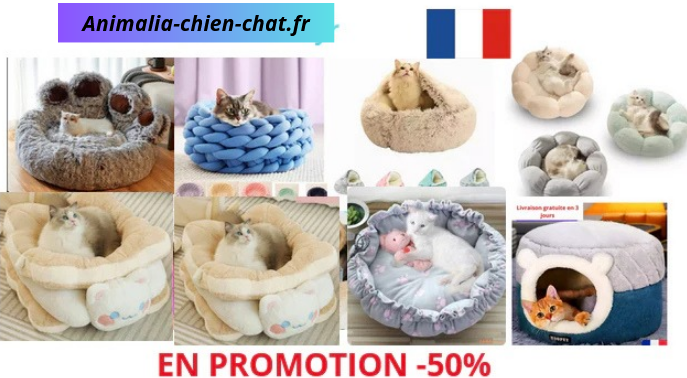Couchage Pour Chats-Chatons