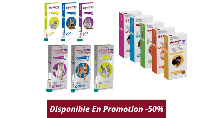 -Bravecto pour Chiens-Chats