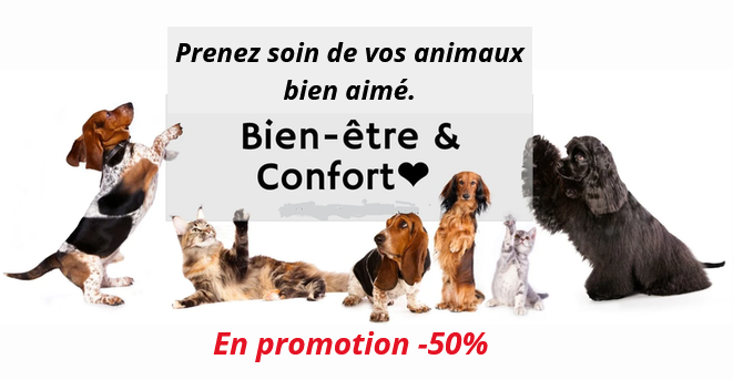 Prenez soin de votre chiens-chats