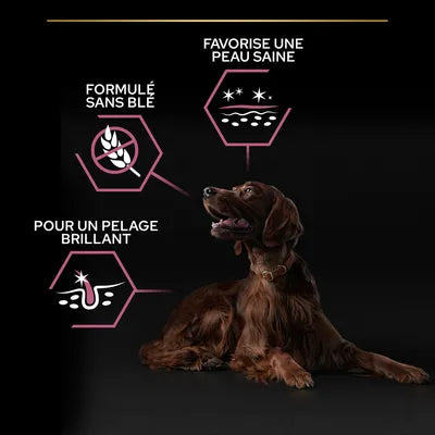 PURINA PRO PLAN Large Athletic Adult Sensitive Skin saumon 12kg-(3 variantes)