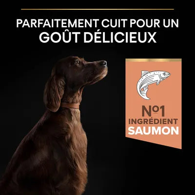 14kg PURINA PRO PLAN Large Athletic Adult Sensitive Skin saumon-(3 variantes)
