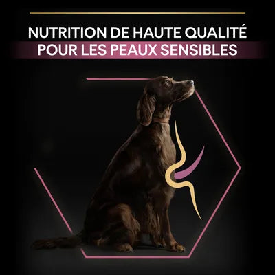 PURINA PRO PLAN Large Athletic Adult Sensitive Skin saumon 14kgx2 -(3 variantes)