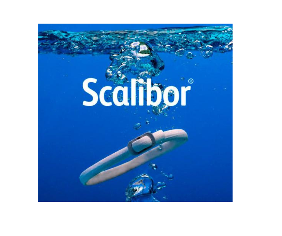 2 Colliers Scalibor antiparasitaire petit chiens 48cm