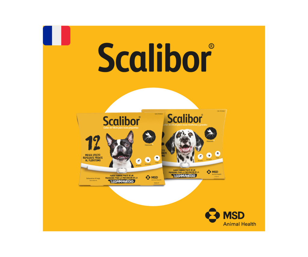 2 Colliers Scalibor antiparasitaire petit chiens 48cm