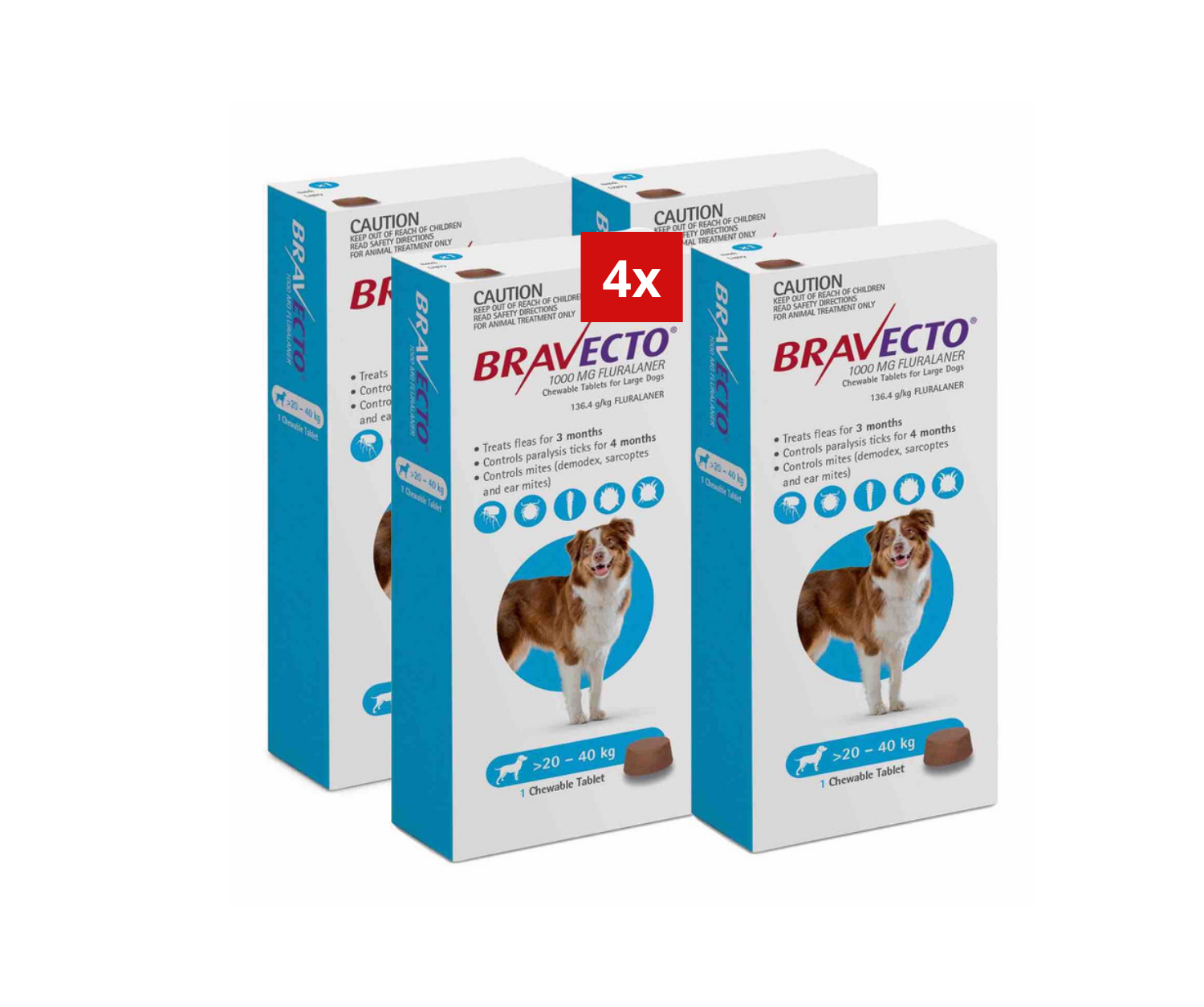 2 Bravecto contre les puce-tique à mâcher pour chiens de 20 à 40kg 1000mg-Bleu 2 lots