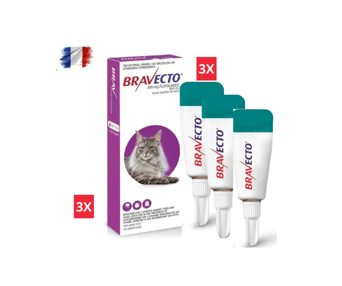 4 Bravecto Solution Topique pour Chats 6,25-12,5 kg (13,8-27,5 lbs)-Purple 4 Dose