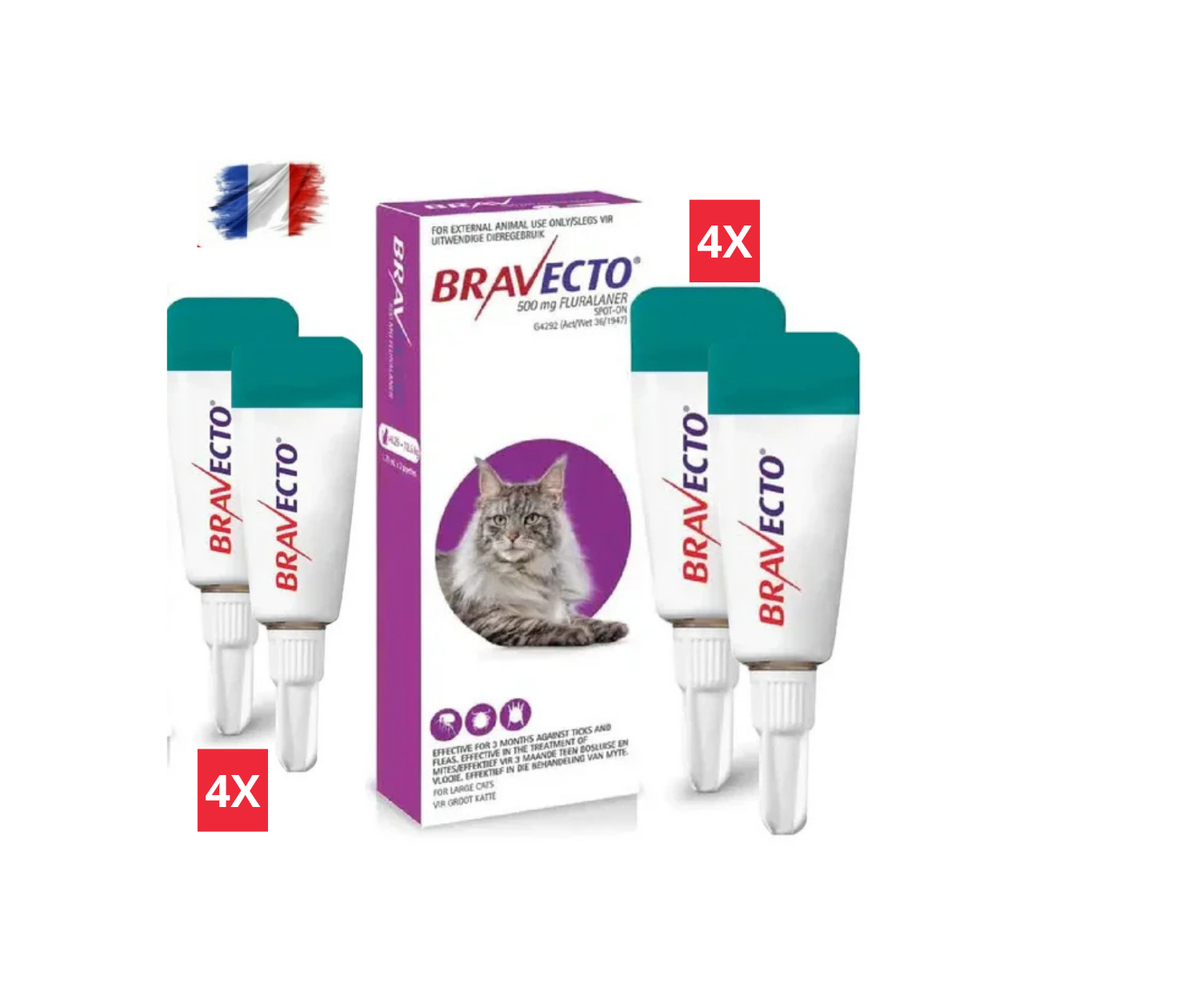 2 Bravecto Solution Topique pour Chats 6,25-12,5 kg (13,8-27,5 lbs)-Purple 2 Doses
