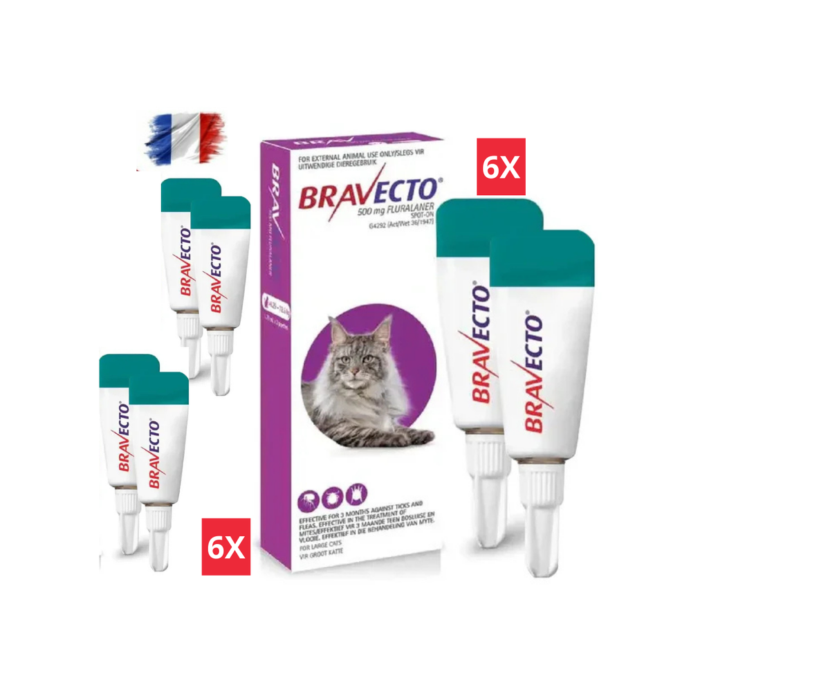 4 Bravecto Solution Topique pour Chats 6,25-12,5 kg (13,8-27,5 lbs)-Purple 4 Dose