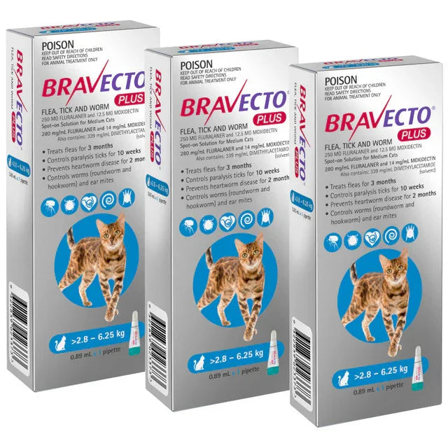 Bravecto PLUS Solution topique pour chats 2,8-6,25 kg(6,2-13,8 lbs)-Bleu
