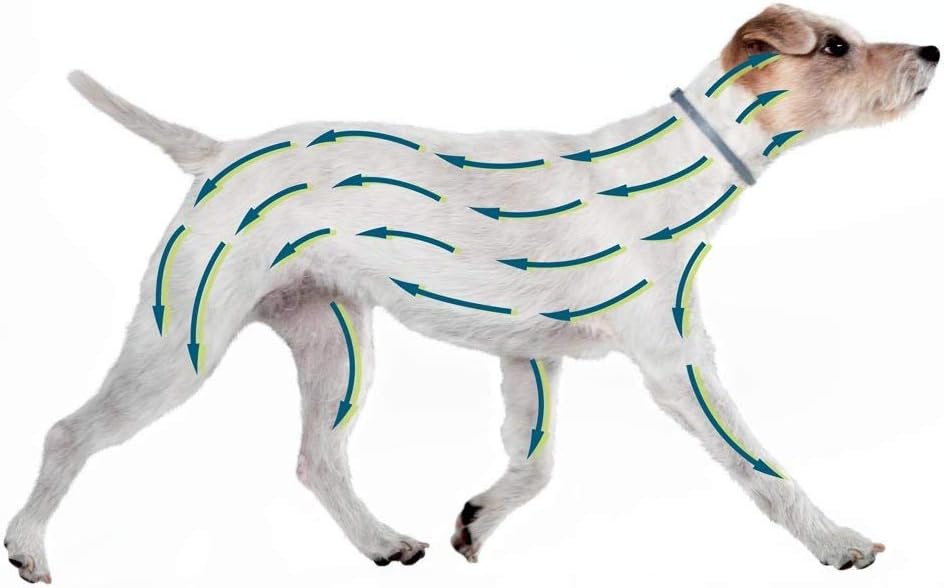 Collier Seresto anti-puces-tiques et Antiparasitaire grand Chien+8kg