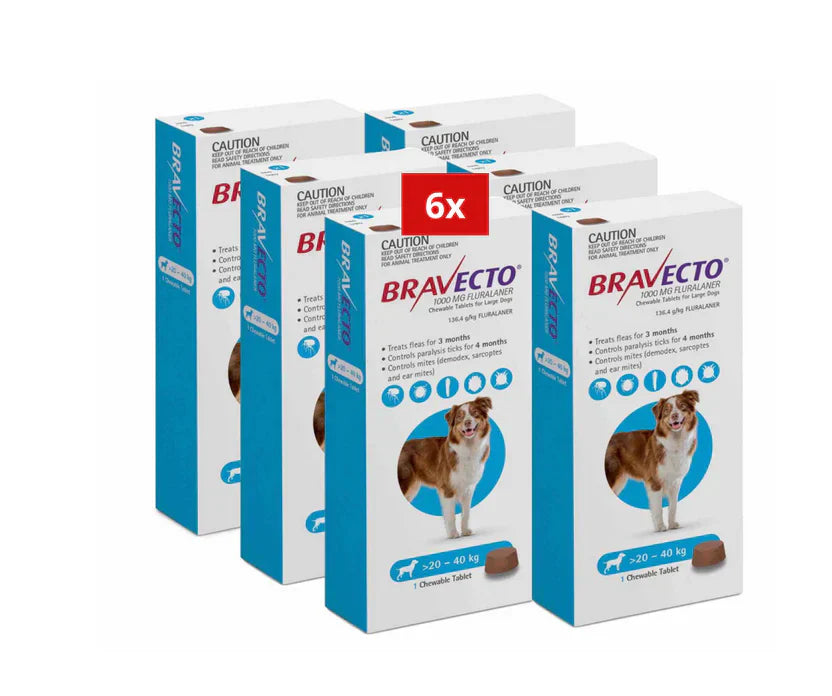 4 Bravecto anti-Puces et Tiques pour chiens de 20 à 40 kg - Bleu 4 à mâcher