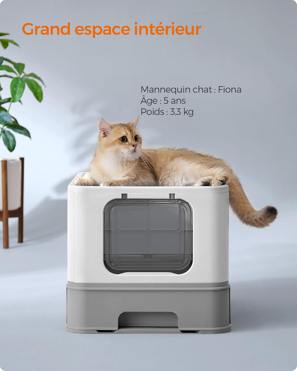 Bac à Litière Fermé pour Chat, Plateau Amovible