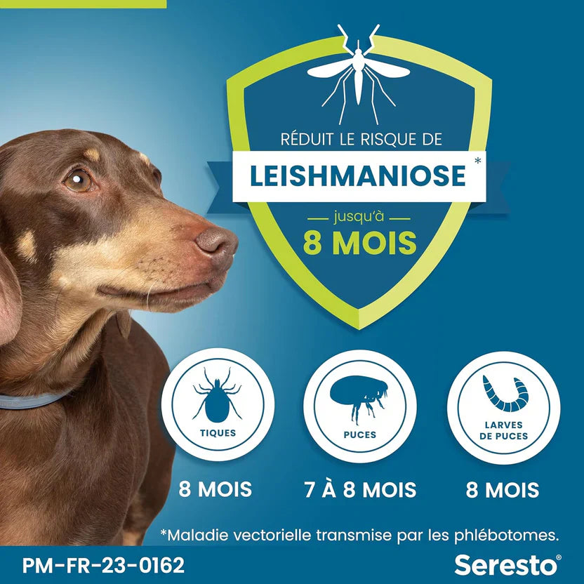 2 Collier Seresto Anti-Puces Anti-Tiques pour petit Chien -8Kg Lot De 2 PCS