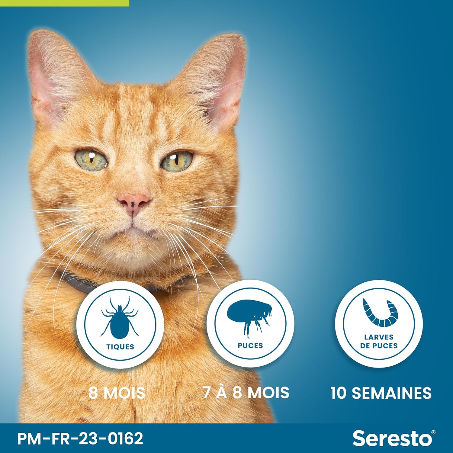 Collier Seresto Anti-Puces-Tiques et Antiparasitaire pour chats