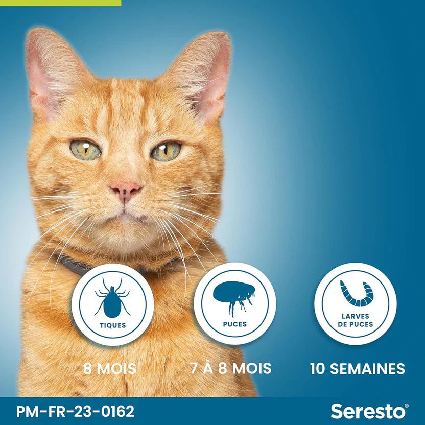 3 PCS Collier Seresto Anti-Puces-Tiques et Antiparasitaire pour chat Lot de 3