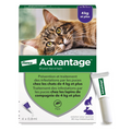 Advantage® 80 pour chat et lapin > 4 kg 4 pipettes