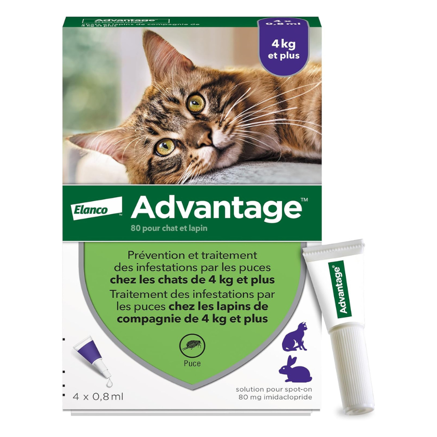 2 Bravecto Solution topique pour chats 2,8-6,25 kg (6,2-13,8 lbs) - Bleu 2 Doses