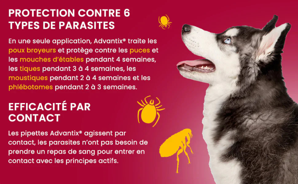 Advantix antiparasitaires très Grand Chien(+40-60KG) 8 Pipettes