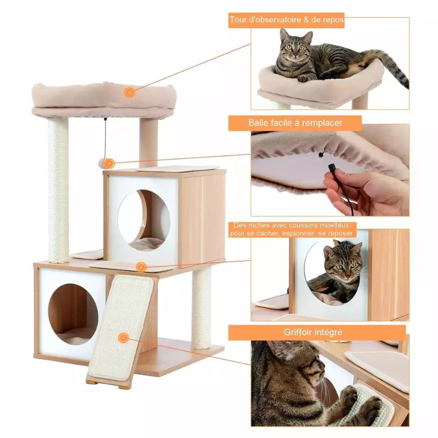 Arbre à chat Charme