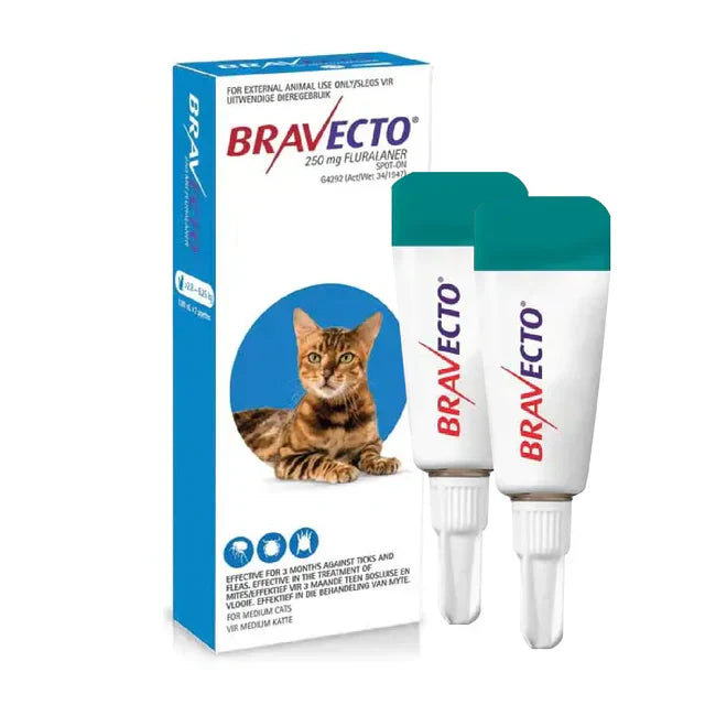 4 Bravecto Solution topique pour chats 2,8-6,25 kg (6,2-13,8 lbs)Bleu 4 Doses