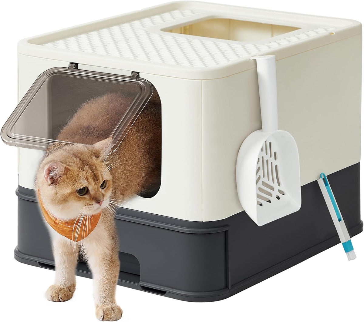 Bac à Litière Fermé pour Chat, Plateau Amovible