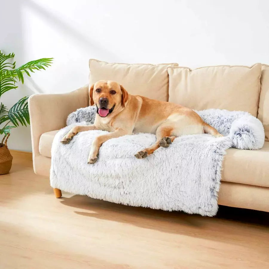 Protecteur De Meuble pour chien et chat, moelleux et Anti-stress