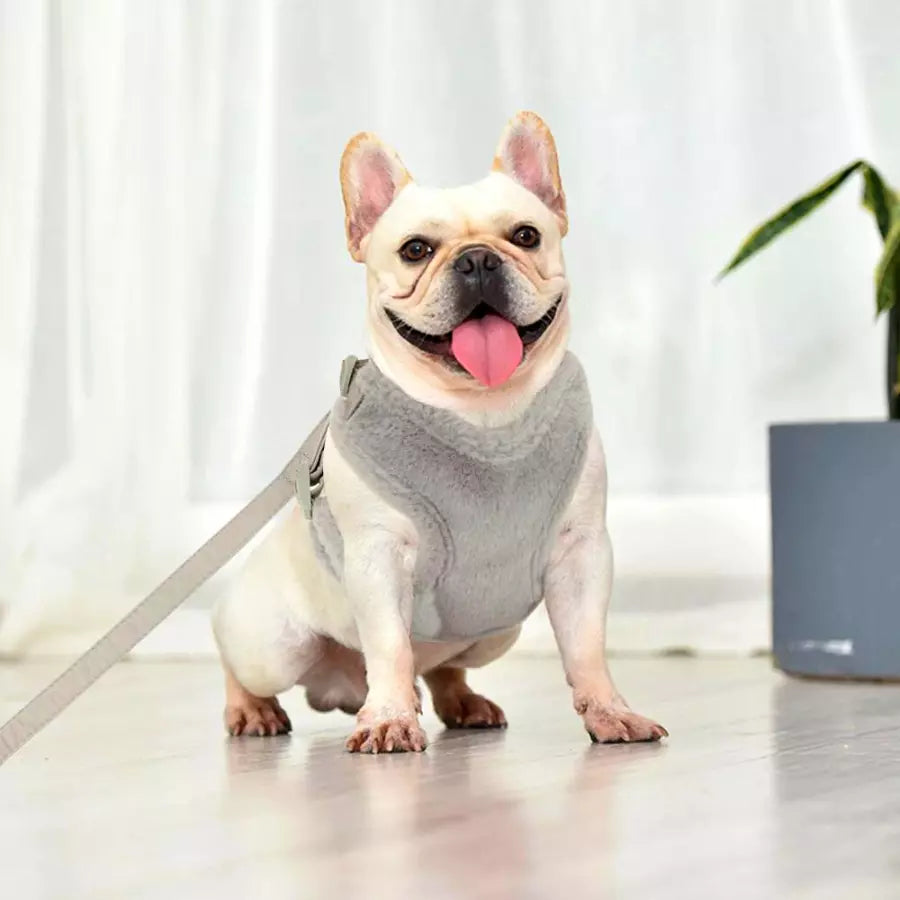 Ensemble gilet harnais en fourrure avec laisse pour animaux de compagnie