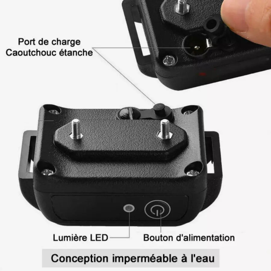Collier de dressage chien Electrique Rechargeable et Etanche 1000m