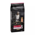 PURINA PRO PLAN Medium Adult Sensitive Skin pour chien 14 kg-(4 variantes)