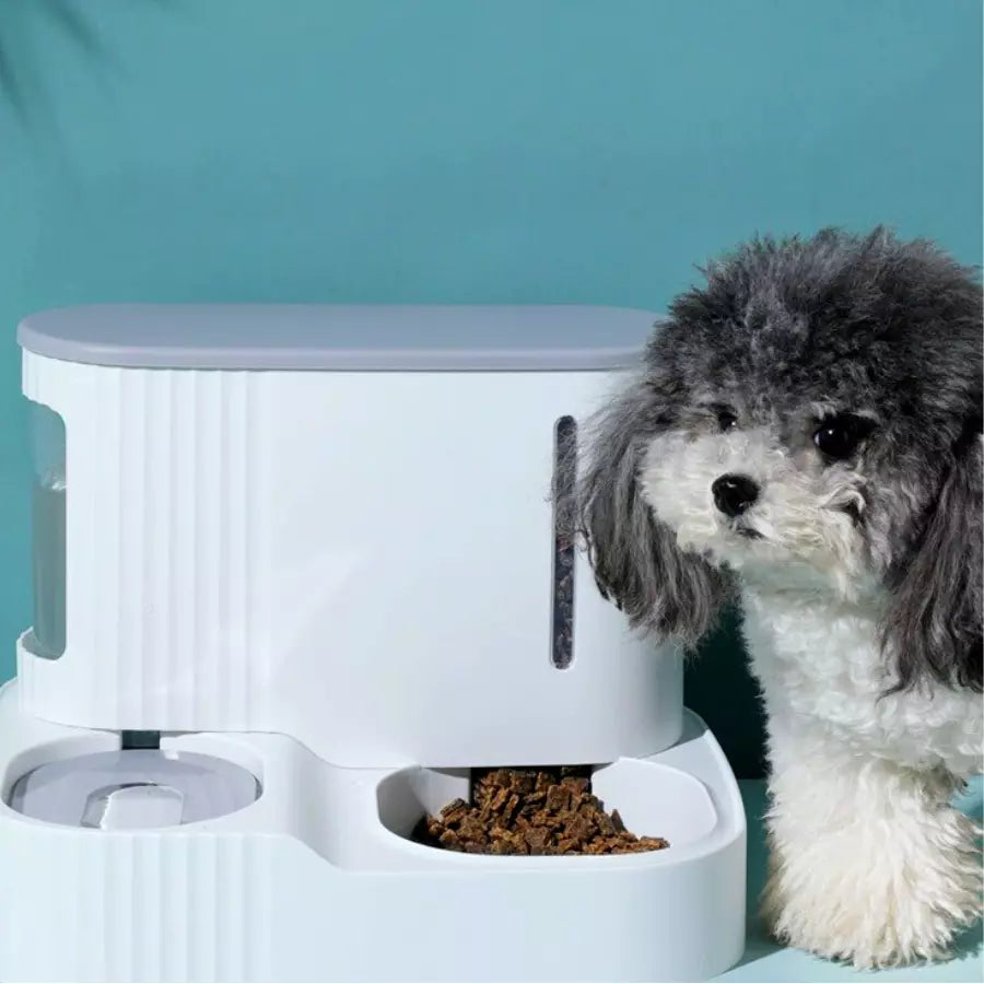 3L distributeur automatique de croquettes et eau pour chat et chien 2 en 1 détachable