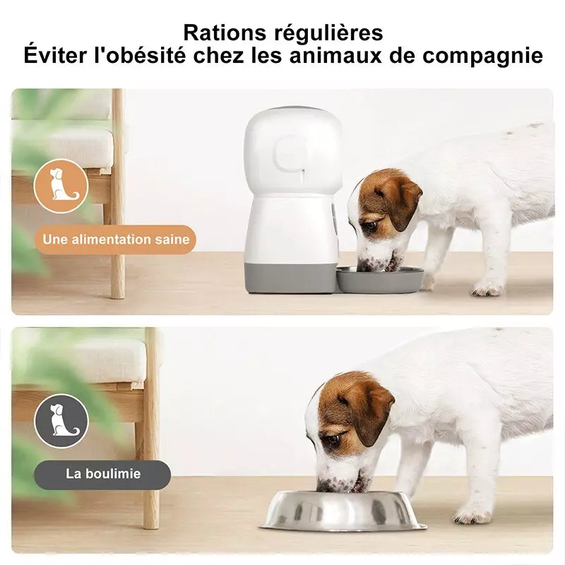 Distributeur automatique d'aliments pour animaux de compagnie