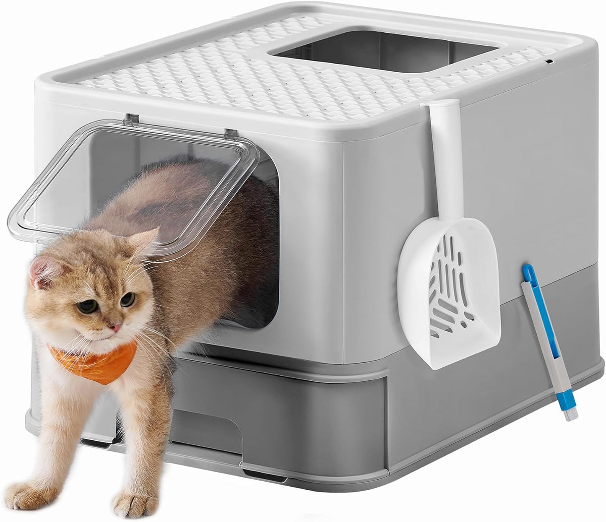 Bac à Litière Fermé pour Chat, Plateau Amovible