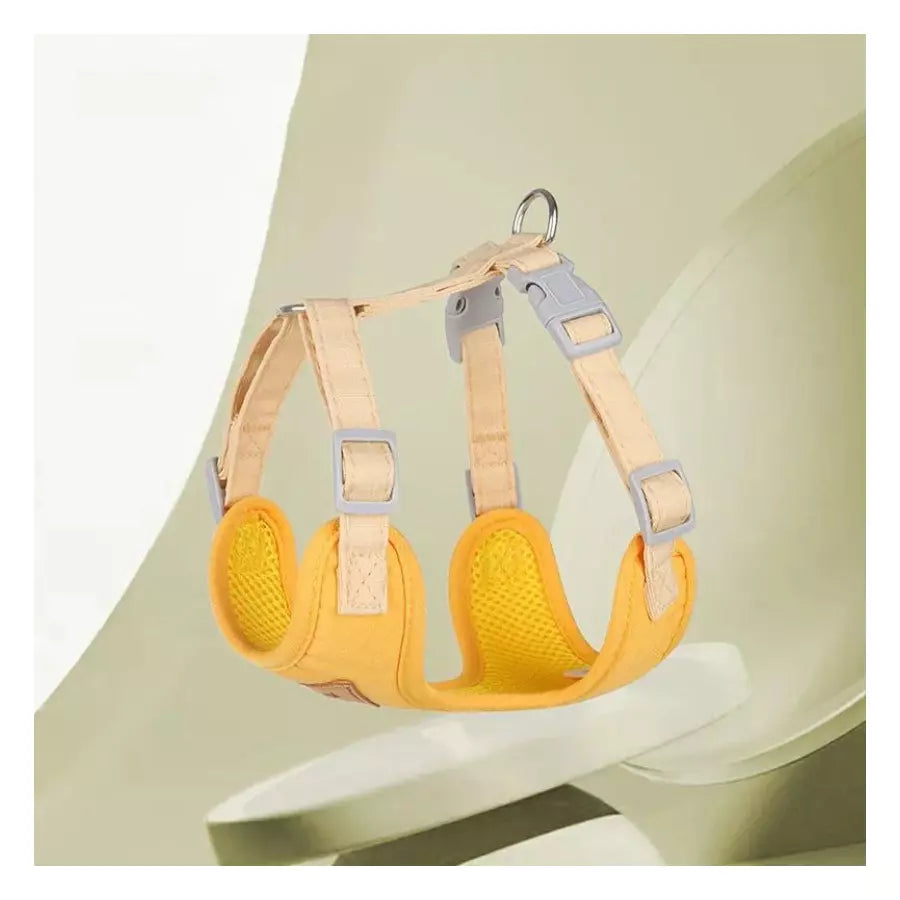 Harnais réfléchissant et respirant avec laisse pour chats