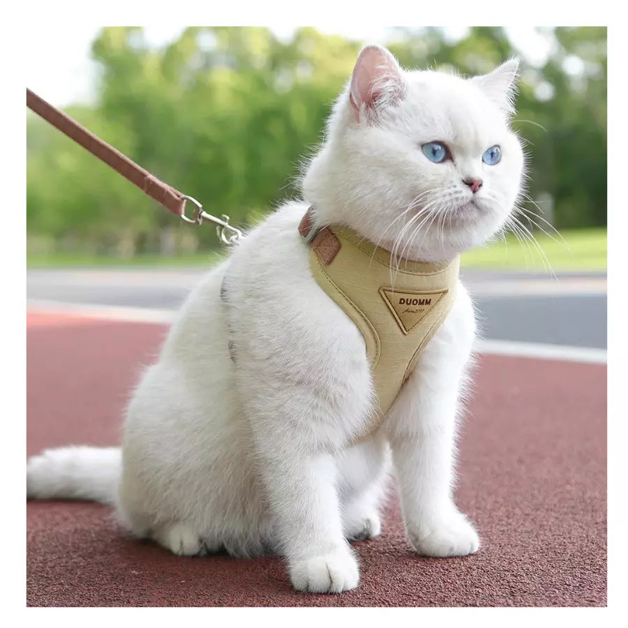 Harnais réfléchissant et respirant avec laisse pour chats