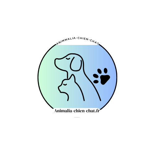 Animalia-chien-chat