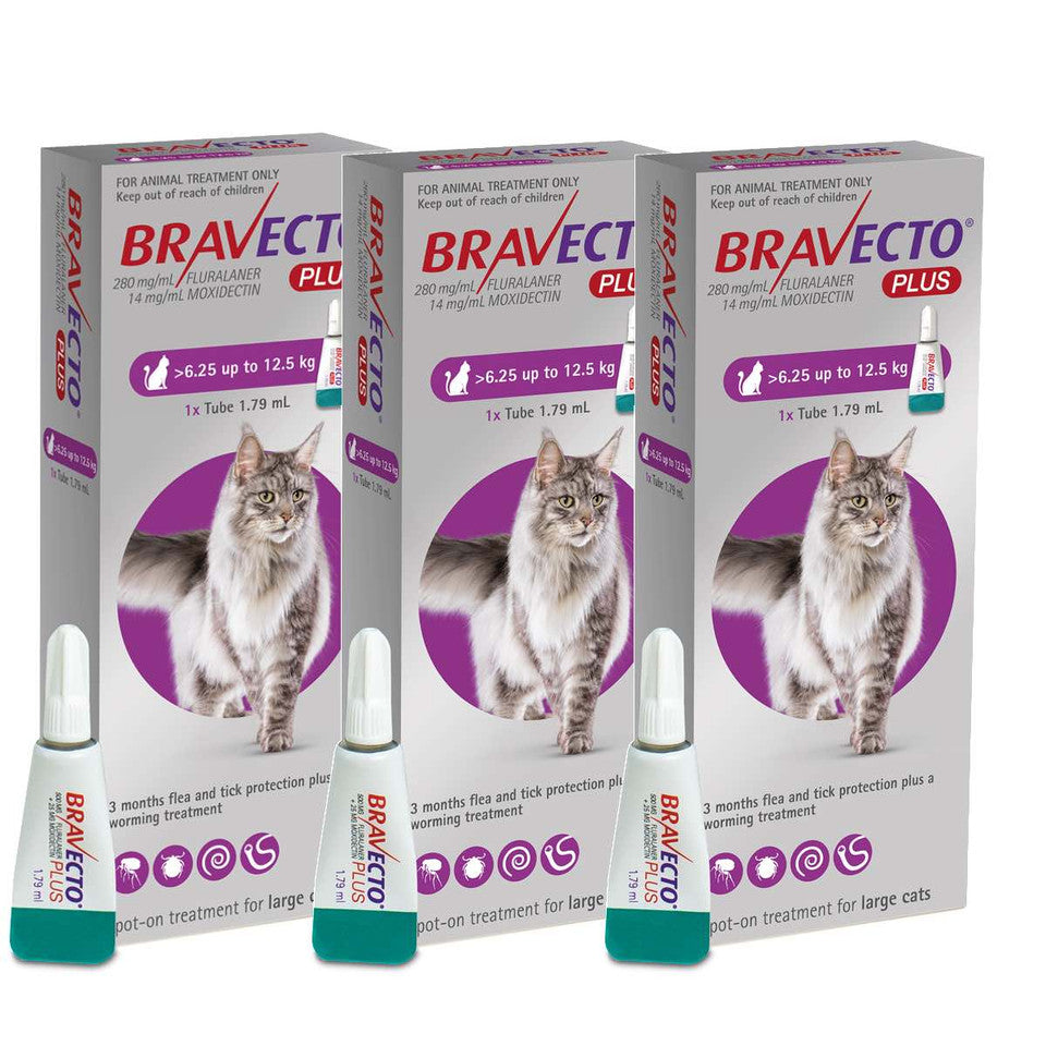 2 Bravecto PLUS Solution topique pour les chats de 6,25 à 12,5 kg (13,8 à 27,5 lb)-Pourpre
