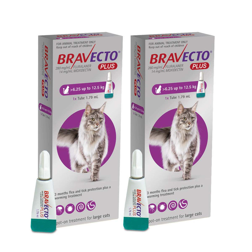 3 Bravecto PLUS Solution topique pour les chats de 6,25 à 12,5 kg (13,8 à 27,5 lb)-Pourpre