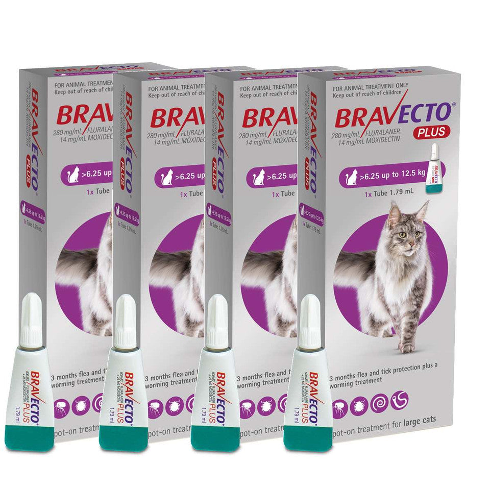 3 Bravecto PLUS Solution topique pour les chats de 6,25 à 12,5 kg (13,8 à 27,5 lb)-Pourpre