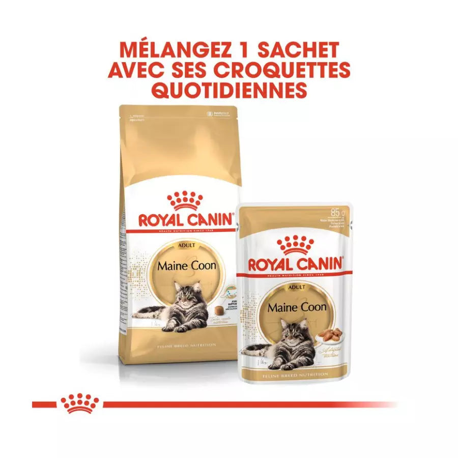 Royal Canin Maine Coon Adult pour chat