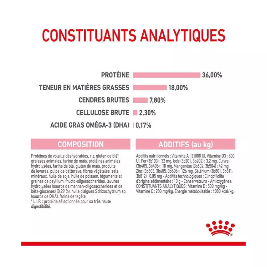 Royal Canin Kitten pour chaton