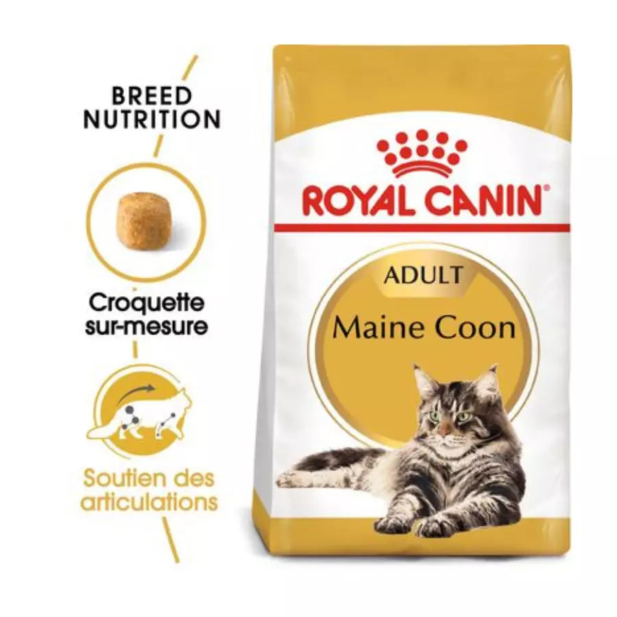 Royal Canin Maine Coon Adult pour chat