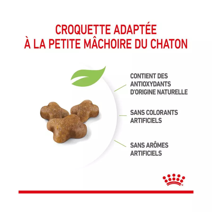 Royal Canin Kitten pour chaton