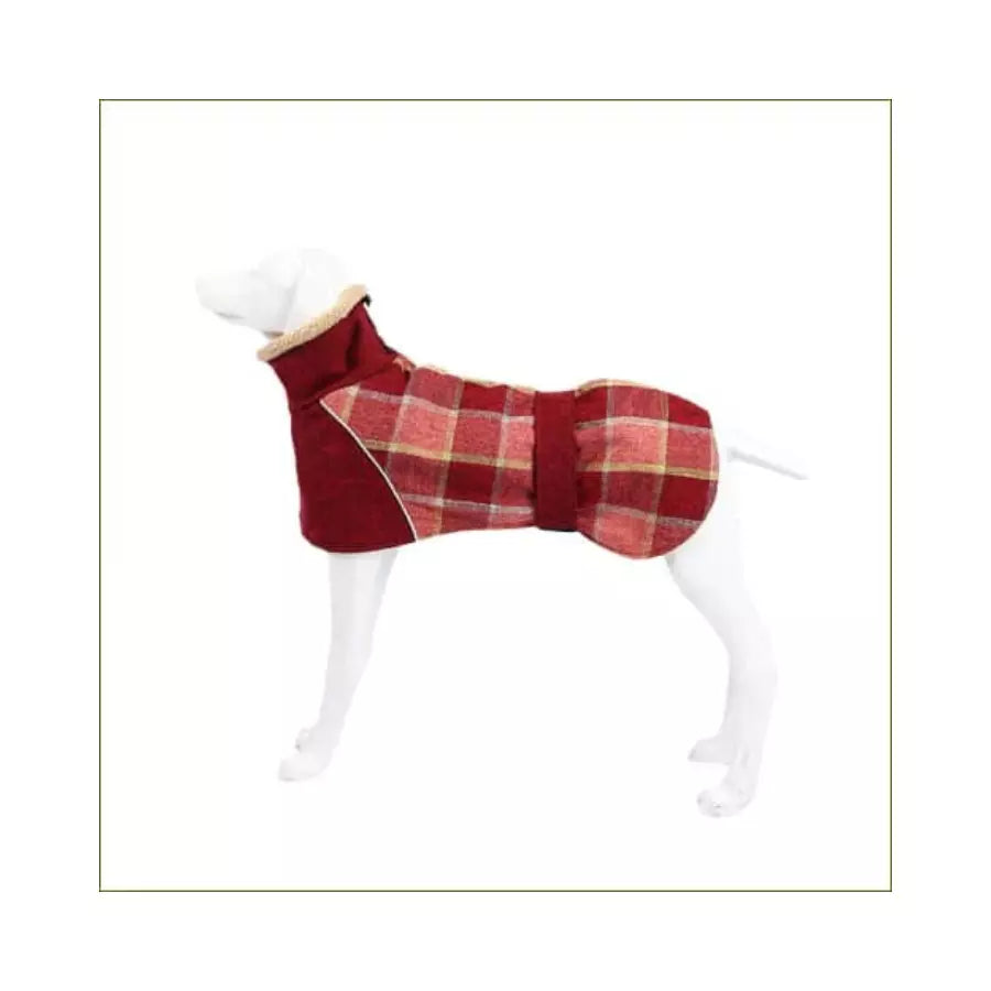 Manteau à carreaux style écossais pour chiens lévriers