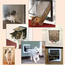 Chatière 4 positions pour chats-chiens