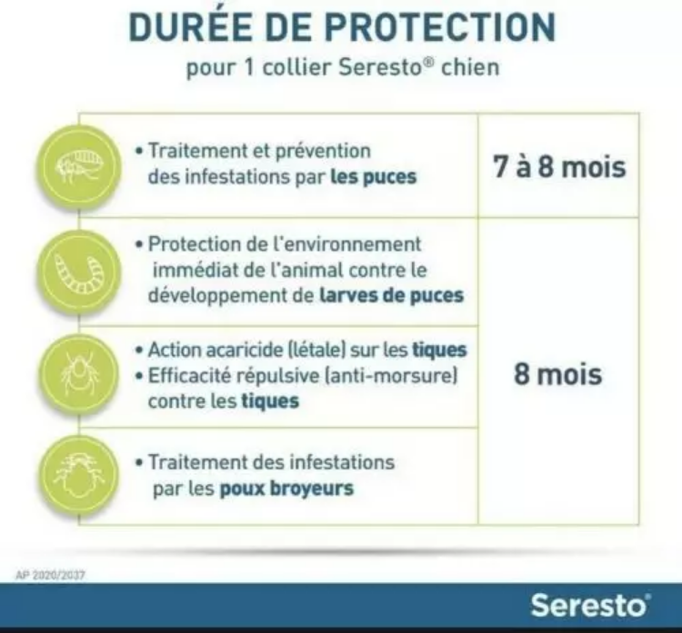 3 Collier Seresto anti-puces-aiques et Antiparasitaire grand Chien+8kg Lot de 3PCS