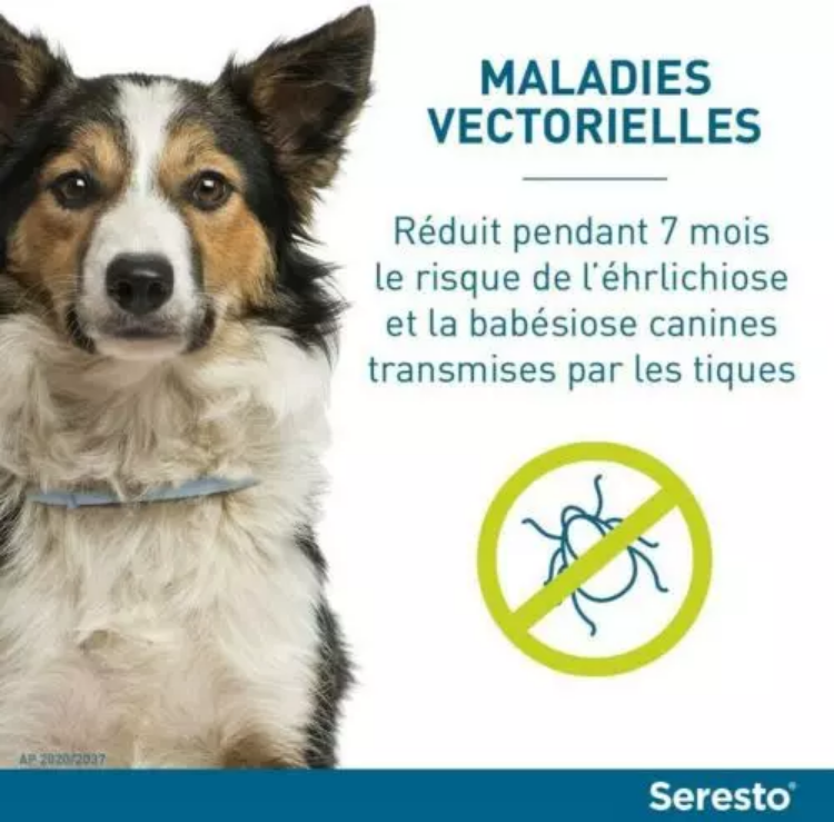 3 Collier Seresto anti-puces-aiques et Antiparasitaire grand Chien+8kg Lot de 3PCS