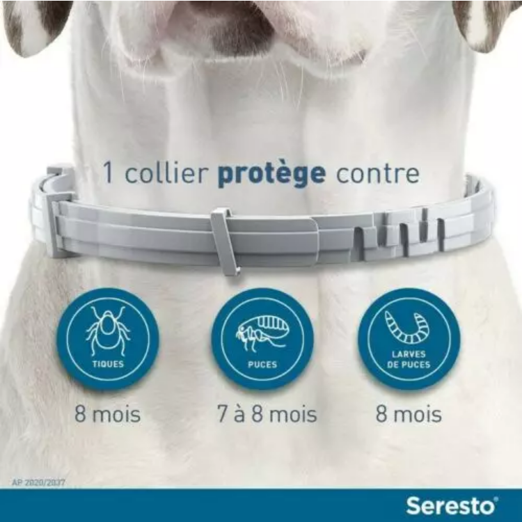 3 Collier Seresto anti-puces-aiques et Antiparasitaire grand Chien+8kg Lot de 3PCS