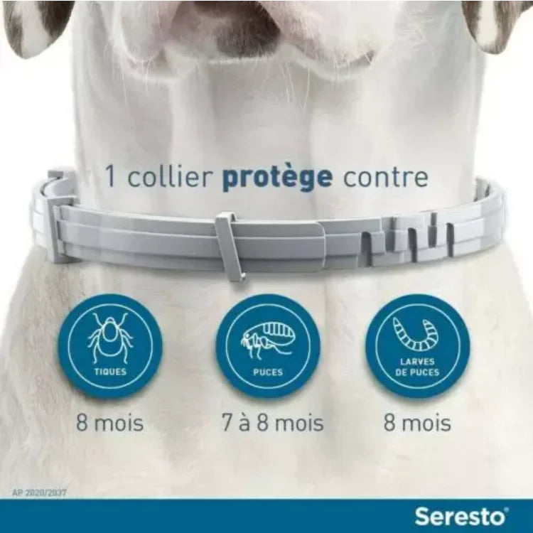 Collier Seresto Anti-Puces-Tiques et Antiparasitaire pour chat