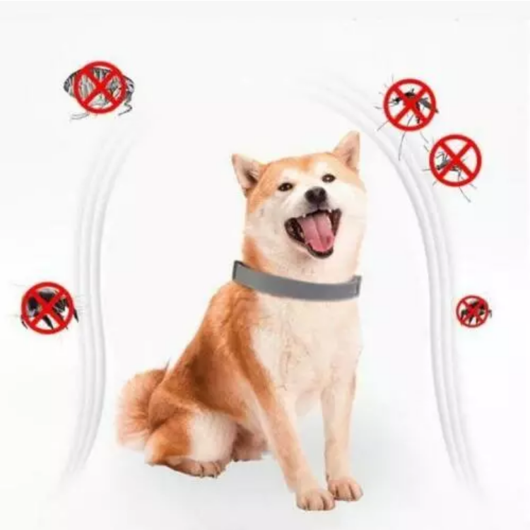 2 Collier Seresto Anti-Puces Anti-Tiques petit Chien -8Kg Lot De 2